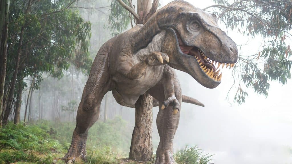 brown dinosaur illustration