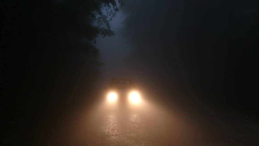 car in the forest